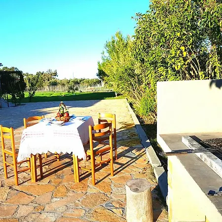 Daire Evaggelia Frínion