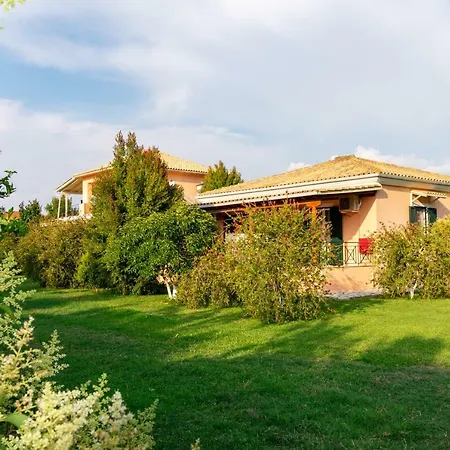 Evaggelia Daire Frínion