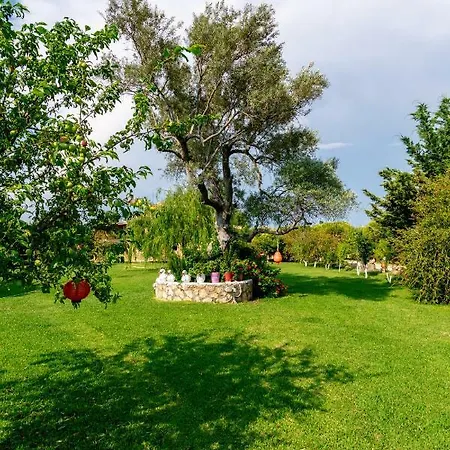 Daire Evaggelia Frínion