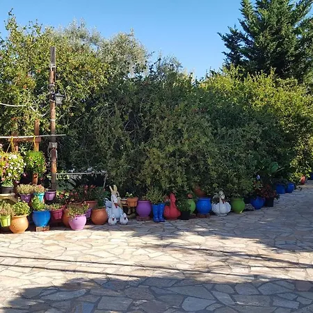 Evaggelia Studios Frinion