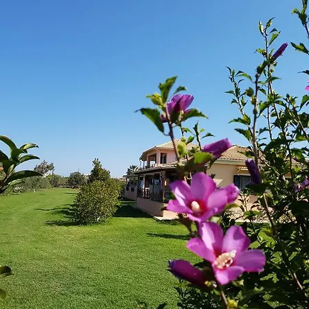 Apartment Evaggelia Studios *