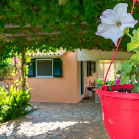 Apartment Evaggelia Studios