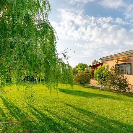 Evaggelia Studios * Frinion