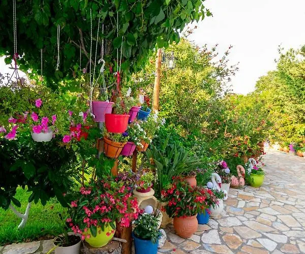 Evaggelia * Frínion