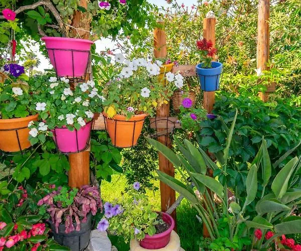 Apartament Evaggelia Frínion