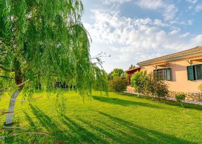 Evaggelia * Frínion